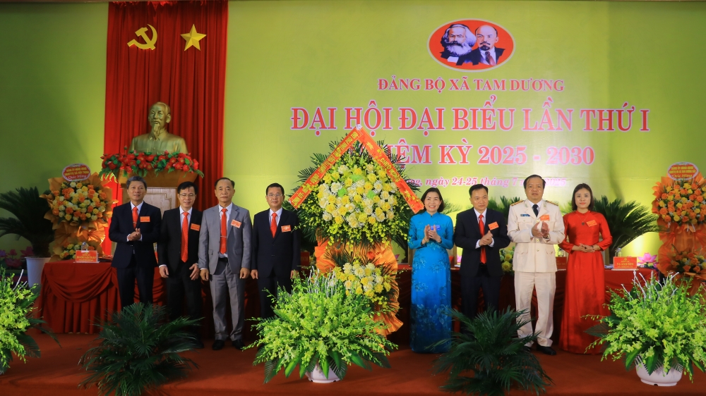 Phú Thọ: Xây dựng xã Tam Dương trở thành trung tâm thương mại, dịch vụ, đô thị