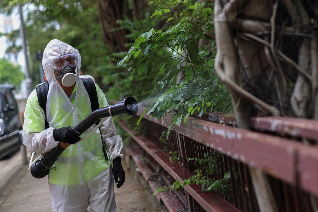 Đáng sợ: Bệnh chikungunya đang lây lan toàn cầu