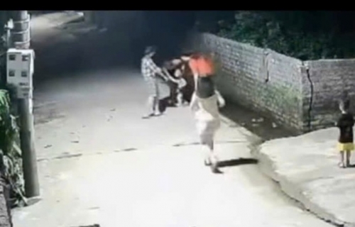 VIDEO: Bé trai 4 tuổi nhanh trí hô hoán người lớn cứu em 2 tuổi rơi xuống mương nước