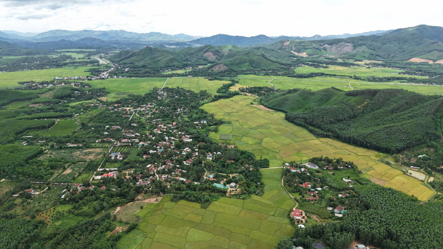 Sản xuất nông nghiệp gắn với thị trường: Hiệu quả “kép”