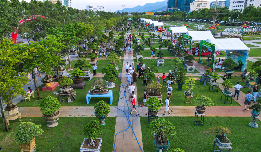 Lễ hội xanh giữa lòng phố biển